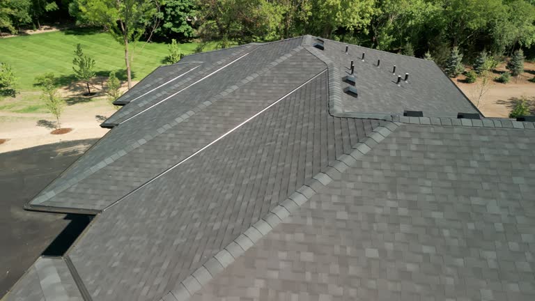 Best Roof Installation  in Dakota City, NE