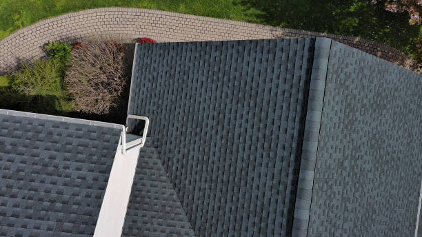 Best Green or Eco-Friendly Roofing Solutions  in Dakota City, NE