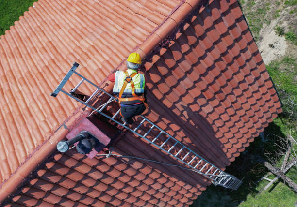 Best Roof Ventilation Installation  in Dakota City, NE