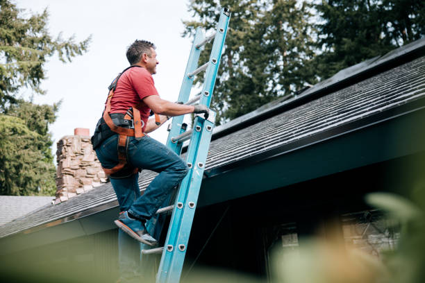 Best Metal Roofing Installation  in Dakota City, NE